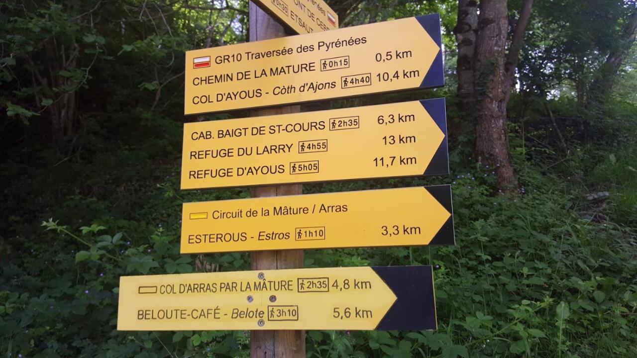 Le Gite Des Mousquetaires Lanne-en-Baretous Luaran gambar